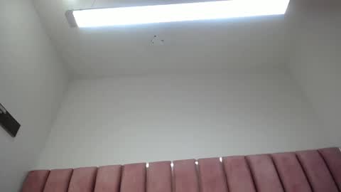 abby_ros_ online show from 01/29/25, 06:22