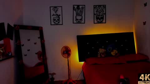 Abby online show from 12/02/24, 04:53