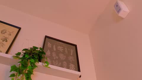 A B B Y online show from 02/23/26, 12:02