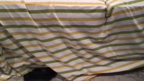 Snapshot of abe_froman2007 chatting on 02/11/26, 07:24 abe_froman2007 online show from 02/11/26, 07:24