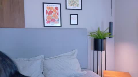 Snapshot of abiehils chatting on 03/11/26, 11:49 abiehils online show from 03/11/26, 11:49