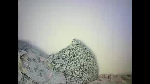 Snapshot of abigailove4u chatting on 02/22/25, 11:46 GoldenFish online show from 02/22/25, 11:46