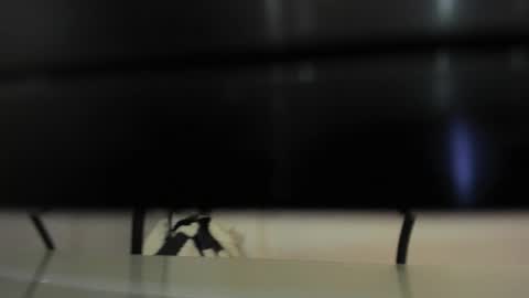 Snapshot of abril_777 chatting on 02/22/26, 07:56 Abril 777 online show from 02/22/26, 07:56