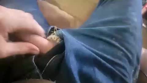 Snapshot of acemcdade chatting on 01/19/25, 08:51 Ace online show from 01/19/25, 08:51