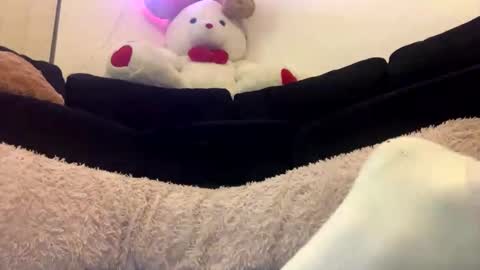 Snapshot of adam_1792 chatting on 02/18/25, 12:28 ENIGMA TZX5114 online show from 02/18/25, 12:28