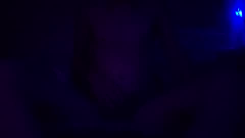 adamllamas online show from 12/30/24, 05:48