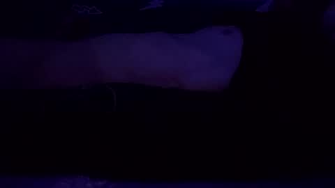 adamllamas online show from 03/08/25, 07:49