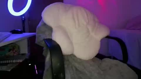 Adara online show from 02/05/26, 09:08