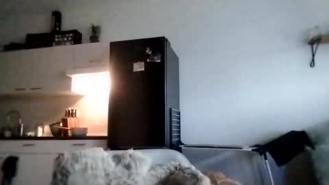 I love a little angel online show from 11/28/25, 10:18