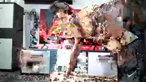 Snapshot of adrianohunt chatting on 12/28/24, 08:58 Adriano online show from 12/28/24, 08:58