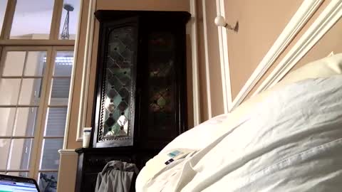 Snapshot of adrienfromparis chatting on 03/19/26, 08:07 adrienfromparis online show from 03/19/26, 08:07