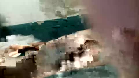 adrodiarellano online show from 10/13/25, 02:22