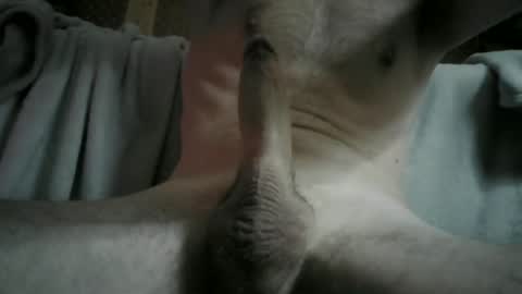 Snapshot of adryan_gym chatting on 12/04/24, 12:19 ADRY SKY online show from 12/04/24, 12:19