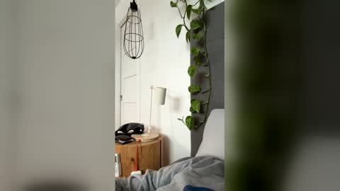 advbike online show from 03/13/26, 09:21