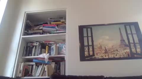 aesthetic form online show from 04/13/26, 08:47