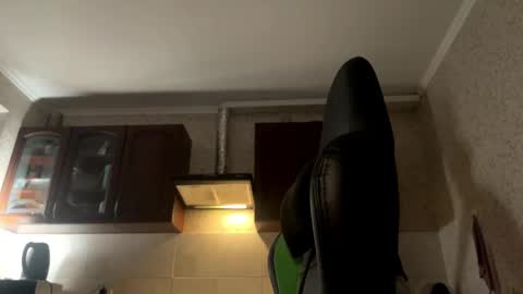 Snapshot of aevra chatting on 12/06/24, 02:24 vegans taste better online show from 12/06/24, 02:24