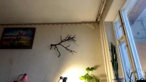 Snapshot of aevra chatting on 10/07/25, 05:37 vegans taste better online show from 10/07/25, 05:37