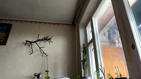 Snapshot of aevra chatting on 10/14/25, 06:14 vegans taste better online show from 10/14/25, 06:14