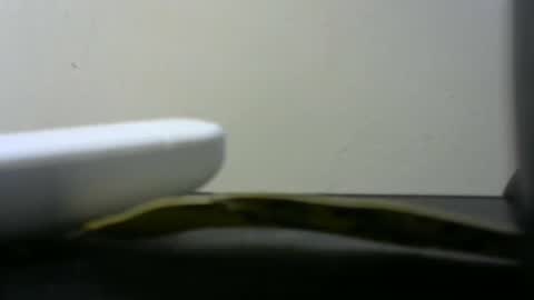 Snapshot of africanlovei chatting on 01/02/25, 06:01 africanlovei online show from 01/02/25, 06:01