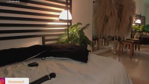 Snapshot of afrodita__25 chatting on 01/29/25, 02:09 Emma online show from 01/29/25, 02:09