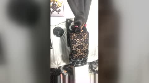 Snapshot of afroluz chatting on 04/27/26, 02:20 afroluz online show from 04/27/26, 02:20