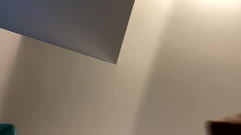 Snapshot of afuego11 chatting on 09/29/25, 05:51 afuego11 online show from 09/29/25, 05:51