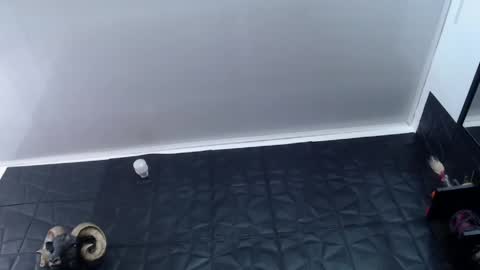  Miss Agata  online show from 05/13/26, 02:03