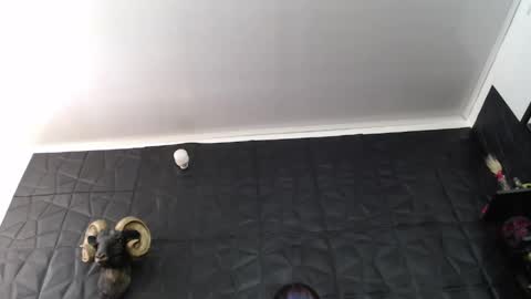  Miss Agata  online show from 06/04/26, 03:40