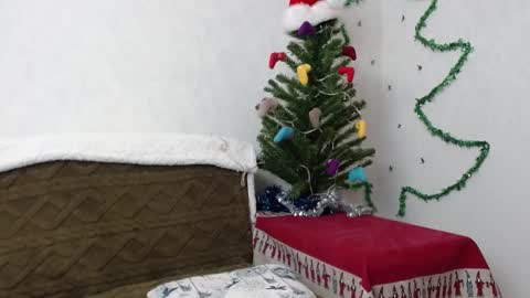 Agatha online show from 01/02/25, 11:52