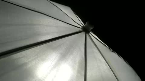 CAROLINA online show from 04/12/26, 04:34