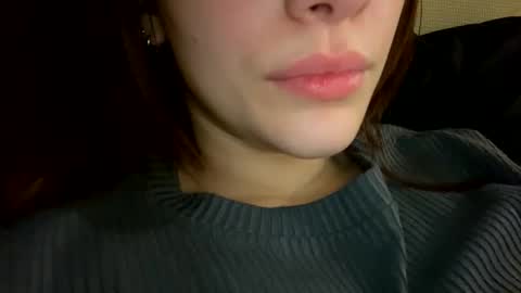 Snapshot of agnes_your chatting on 11/28/25, 12:13 Agnes online show from 11/28/25, 12:13