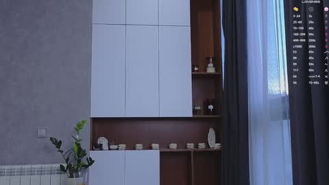 agnessi_ online show from 01/15/25, 06:33