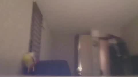 ahbehbi12 online show from 03/10/25, 07:40