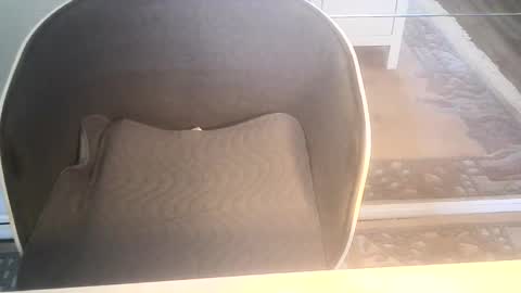 Ole online show from 01/10/25, 09:34