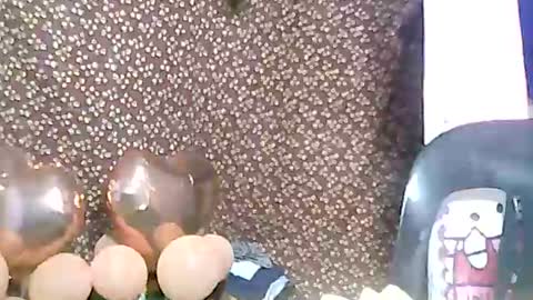 rosie online show from 02/03/25, 03:17