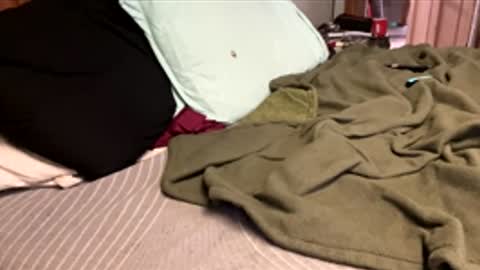 Snapshot of ajb5187517 chatting on 01/05/26, 05:49 ajb5187517 online show from 01/05/26, 05:49