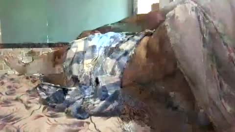 BigHairyGuy online show from 12/16/24, 06:32