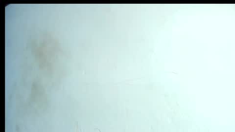Snapshot of alahia66 chatting on 04/21/26, 02:56 alahia66 online show from 04/21/26, 02:56