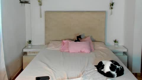 Snapshot of alana__get chatting on 03/20/26, 02:22 online show from 03/20/26, 02:22