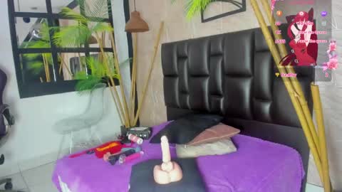 Alana online show from 03/14/26, 11:15