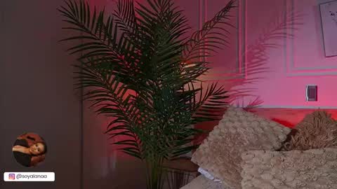 Snapshot of alana_haze chatting on 03/17/26, 03:11 Alana online show from 03/17/26, 03:11