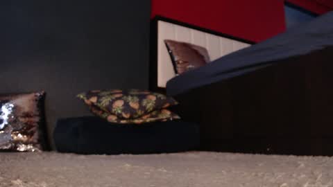 Alanna online show from 01/11/25, 05:20