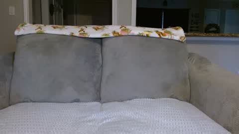 Snapshot of alannarack chatting on 02/26/25, 02:14 Alanna Rack online show from 02/26/25, 02:14