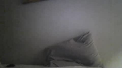 Snapshot of aleccksz chatting on 04/30/26, 04:52 PoonHandler online show from 04/30/26, 04:52