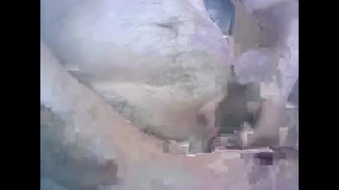 aleksandarcoabatica online show from 10/22/25, 08:58