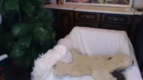 Luly online show from 12/15/24, 02:08