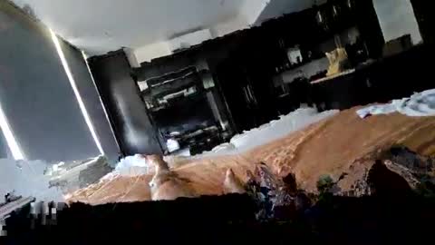 alenart online show from 02/02/25, 07:46