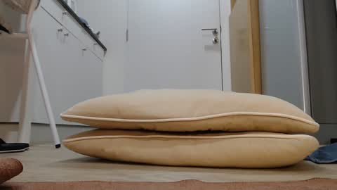 Nicha online show from 11/05/25, 03:06