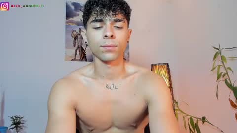 Snapshot of alex_zt7 chatting on 06/12/26, 01:10 x online show from 06/12/26, 01:10