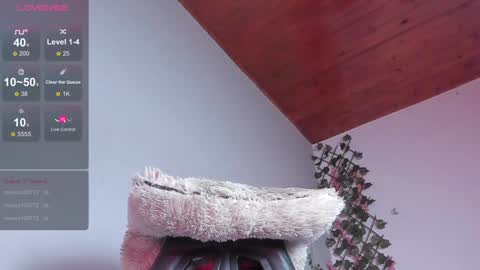 Dani online show from 01/10/25, 08:51